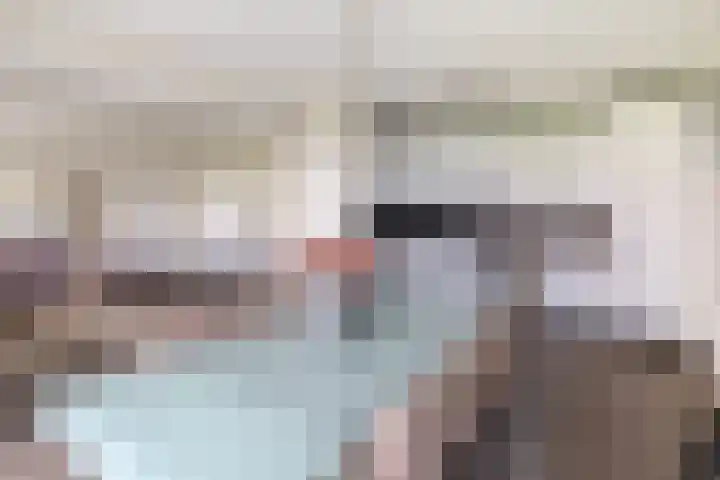 Fluiterlaan 246 Capelle aan den IJssel thumbnail 17