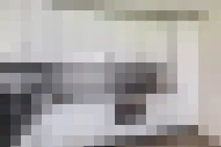 Fluiterlaan 246 Capelle aan den IJssel thumbnail 19