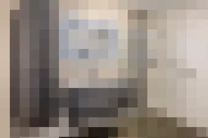 Fluiterlaan 246 Capelle aan den IJssel thumbnail 24
