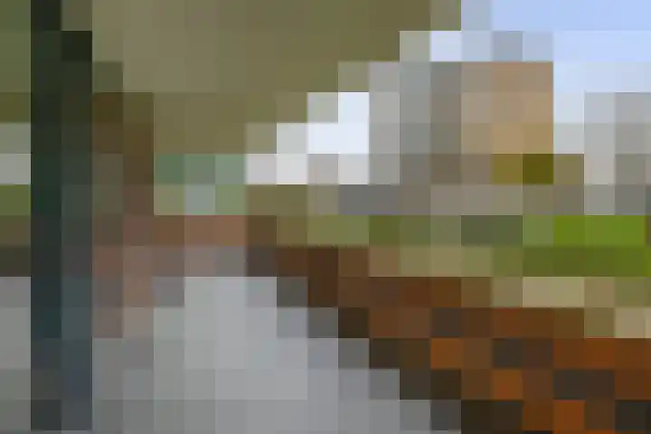 Fluiterlaan 246 Capelle aan den IJssel thumbnail 29