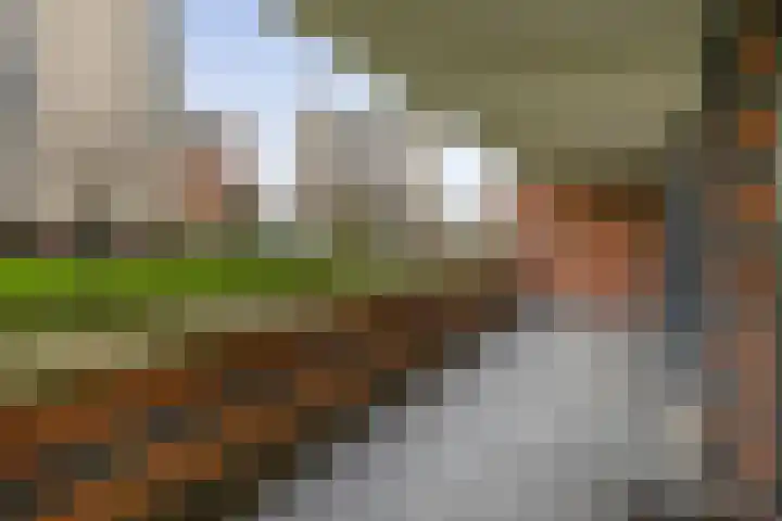 Fluiterlaan 246 Capelle aan den IJssel thumbnail 30