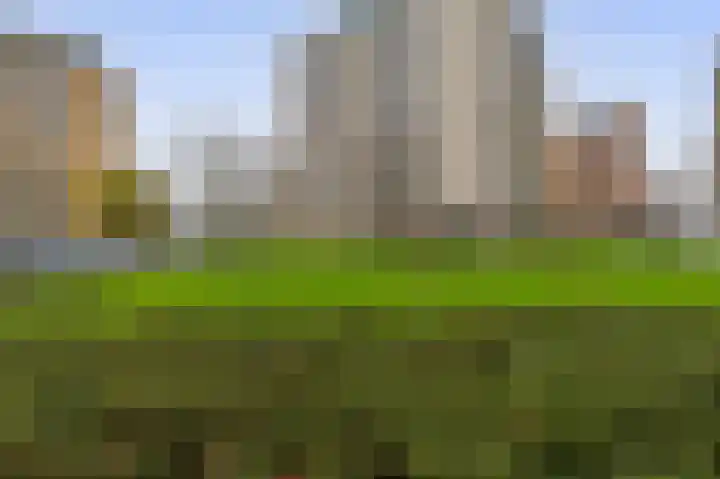 Fluiterlaan 246 Capelle aan den IJssel thumbnail 32