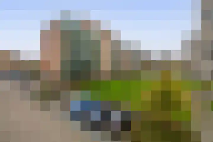 Fluiterlaan 246 Capelle aan den IJssel thumbnail 35