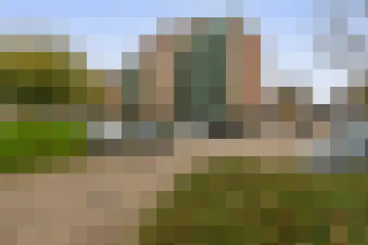 Fluiterlaan 246 Capelle aan den IJssel thumbnail 36