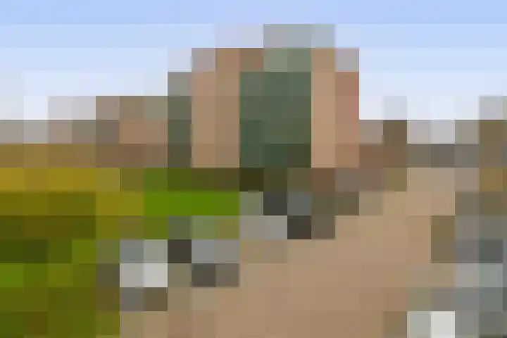 Fluiterlaan 246 Capelle aan den IJssel thumbnail 37