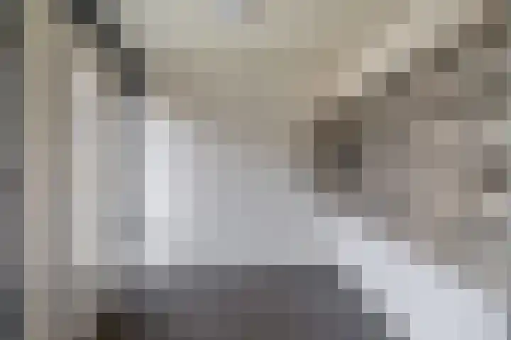 Fluiterlaan 246 Capelle aan den IJssel thumbnail 6
