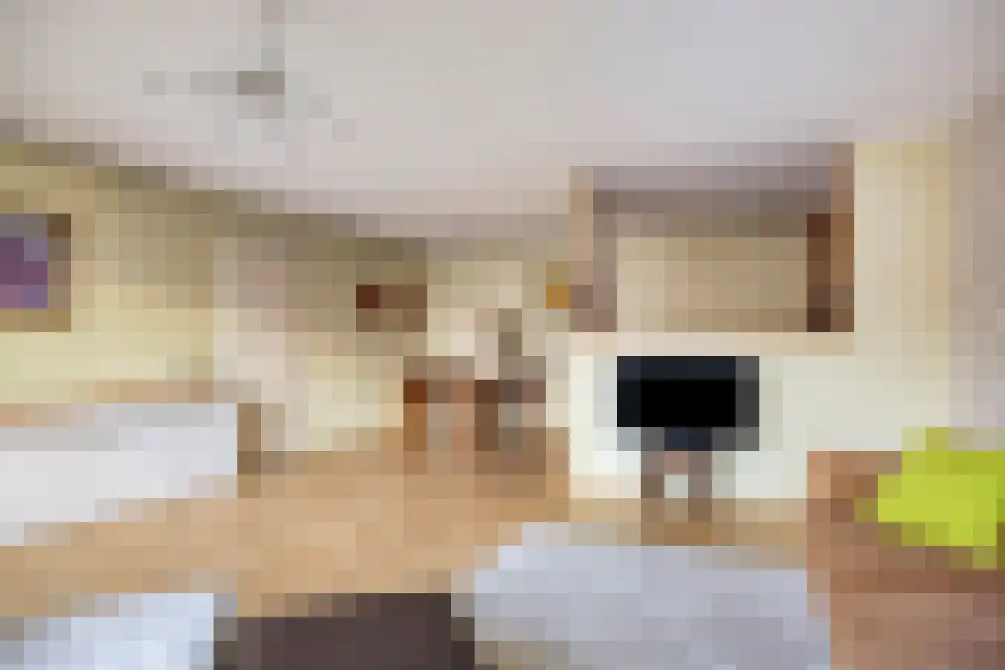 Fluiterlaan 282 Capelle aan den IJssel thumbnail 8