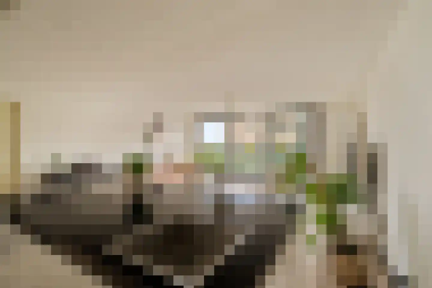Fluiterlaan 284 Capelle aan den IJssel thumbnail 9