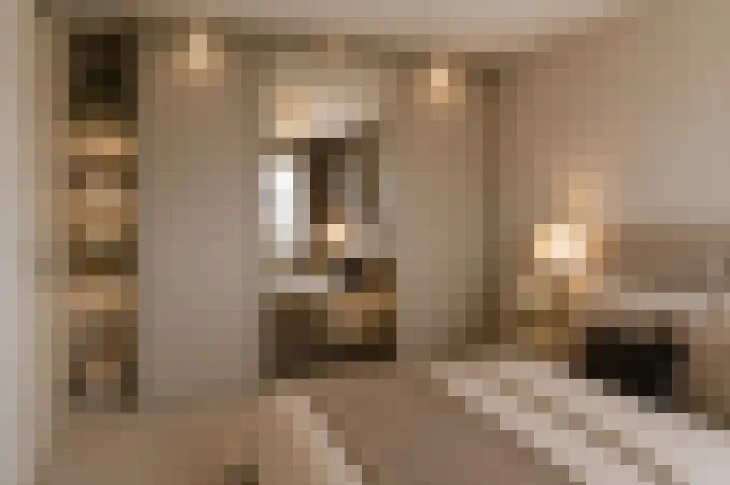 Fluiterlaan 312 Capelle aan den IJssel thumbnail 24