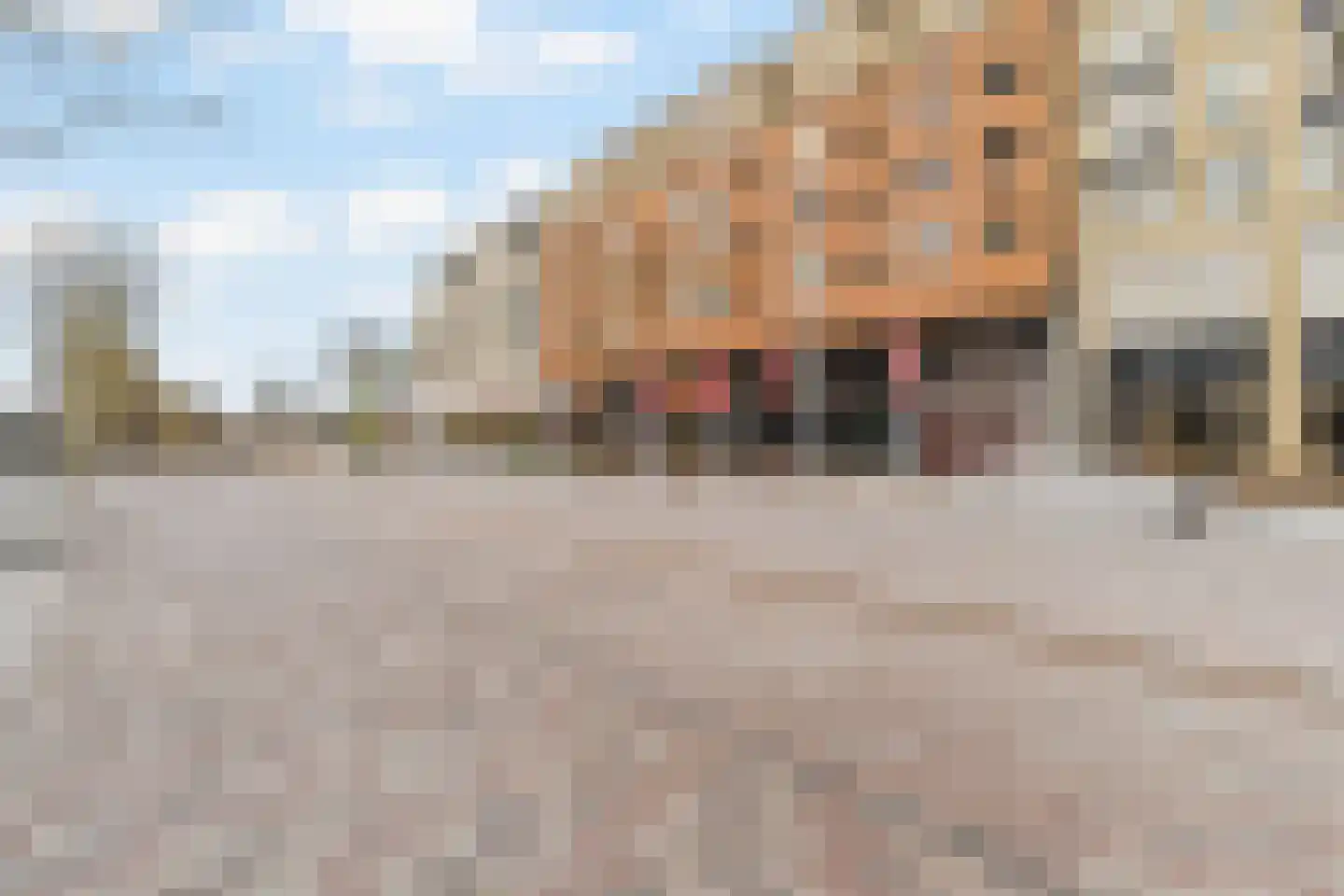 Fluiterlaan 502 Capelle aan den IJssel thumbnail 26