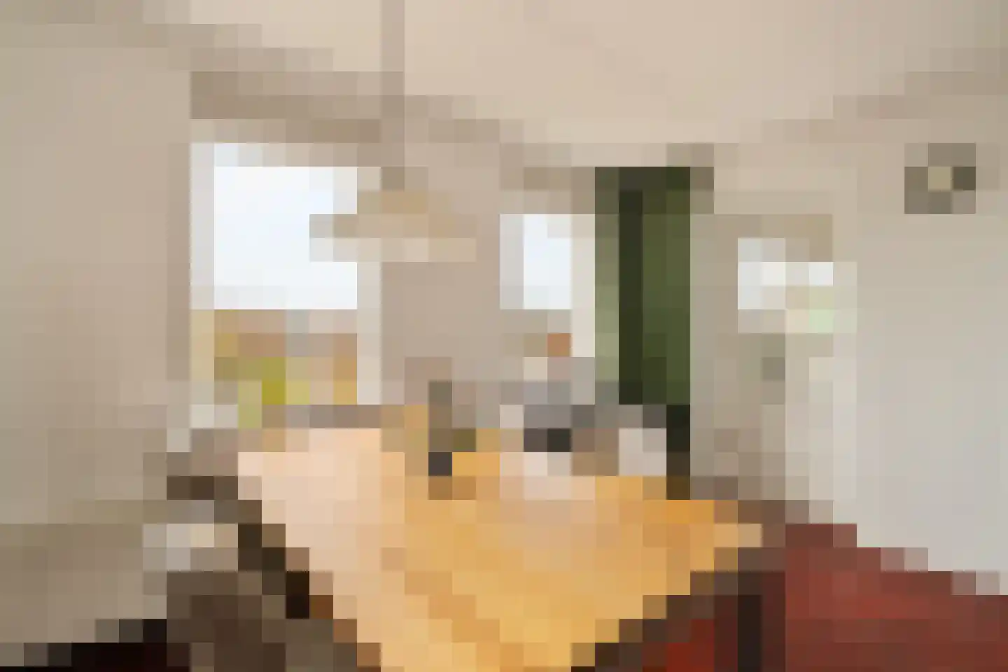 Fluiterlaan 502 Capelle aan den IJssel thumbnail 8