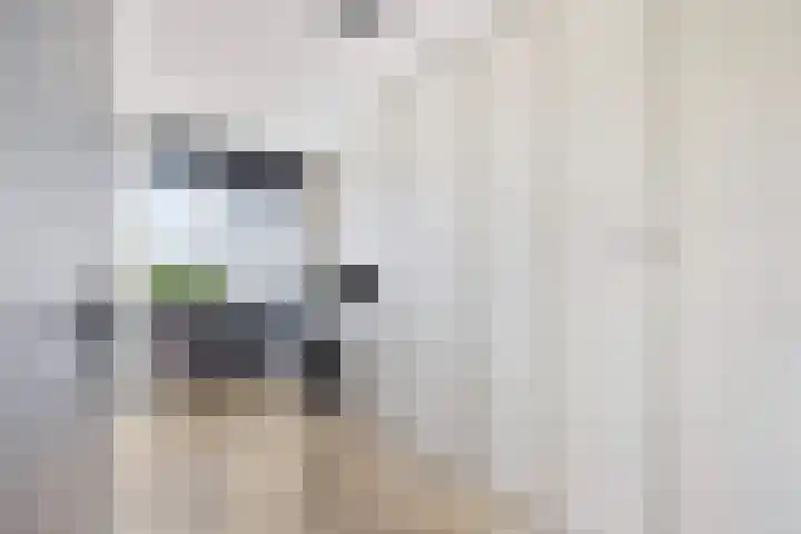 Fluiterlaan 524 Capelle aan den IJssel thumbnail 19