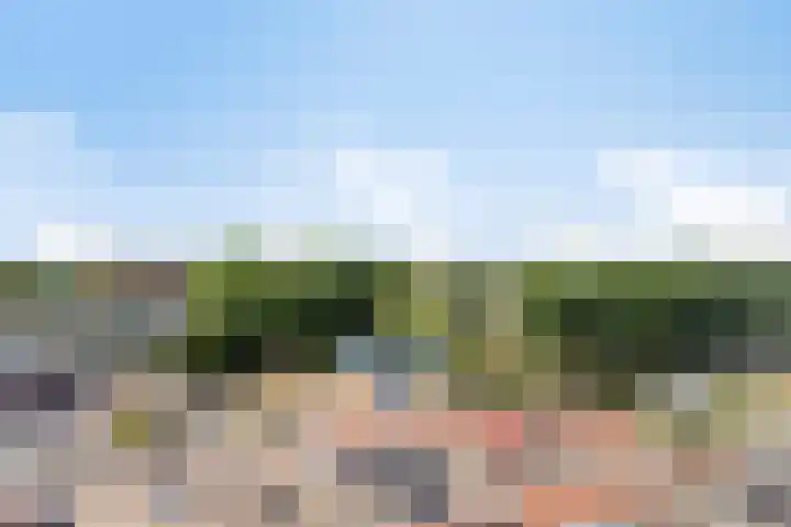 Fluiterlaan 524 Capelle aan den IJssel thumbnail 27