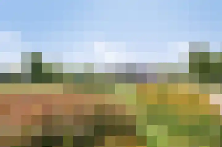Fluiterlaan 524 Capelle aan den IJssel thumbnail 29