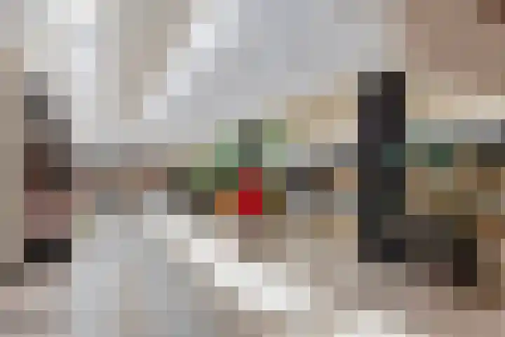 Fluiterlaan 524 Capelle aan den IJssel thumbnail 31