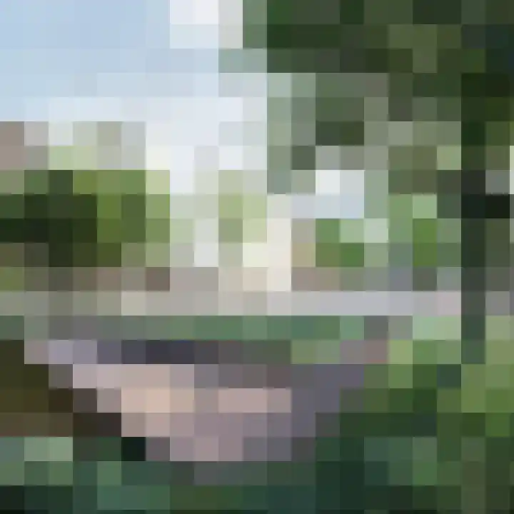 Fluiterlaan 524 Capelle aan den IJssel thumbnail 35