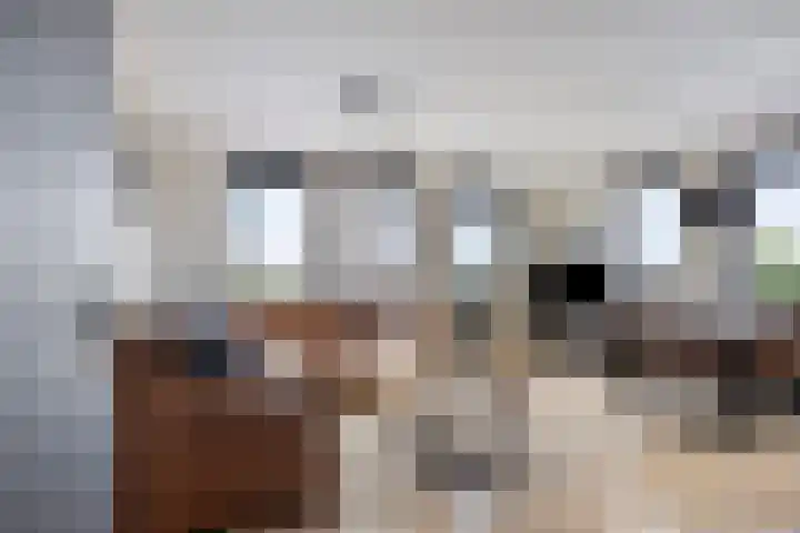 Fluiterlaan 524 Capelle aan den IJssel thumbnail 6