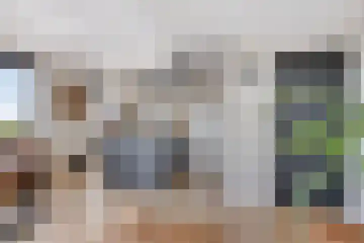 Fluiterlaan 524 Capelle aan den IJssel thumbnail 9