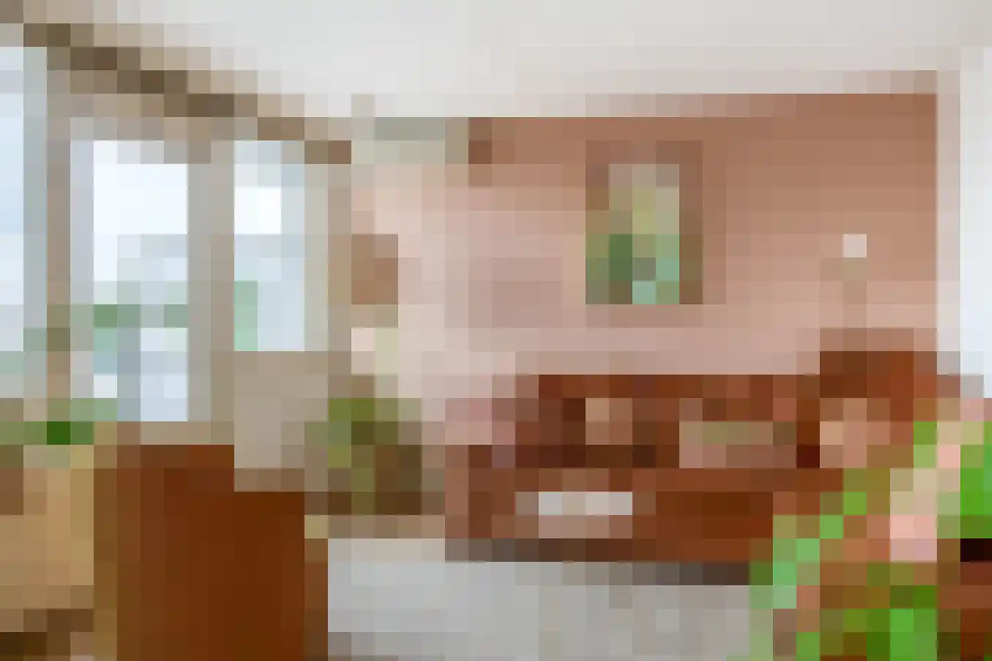 Fluiterlaan 530 Capelle aan den IJssel thumbnail 13