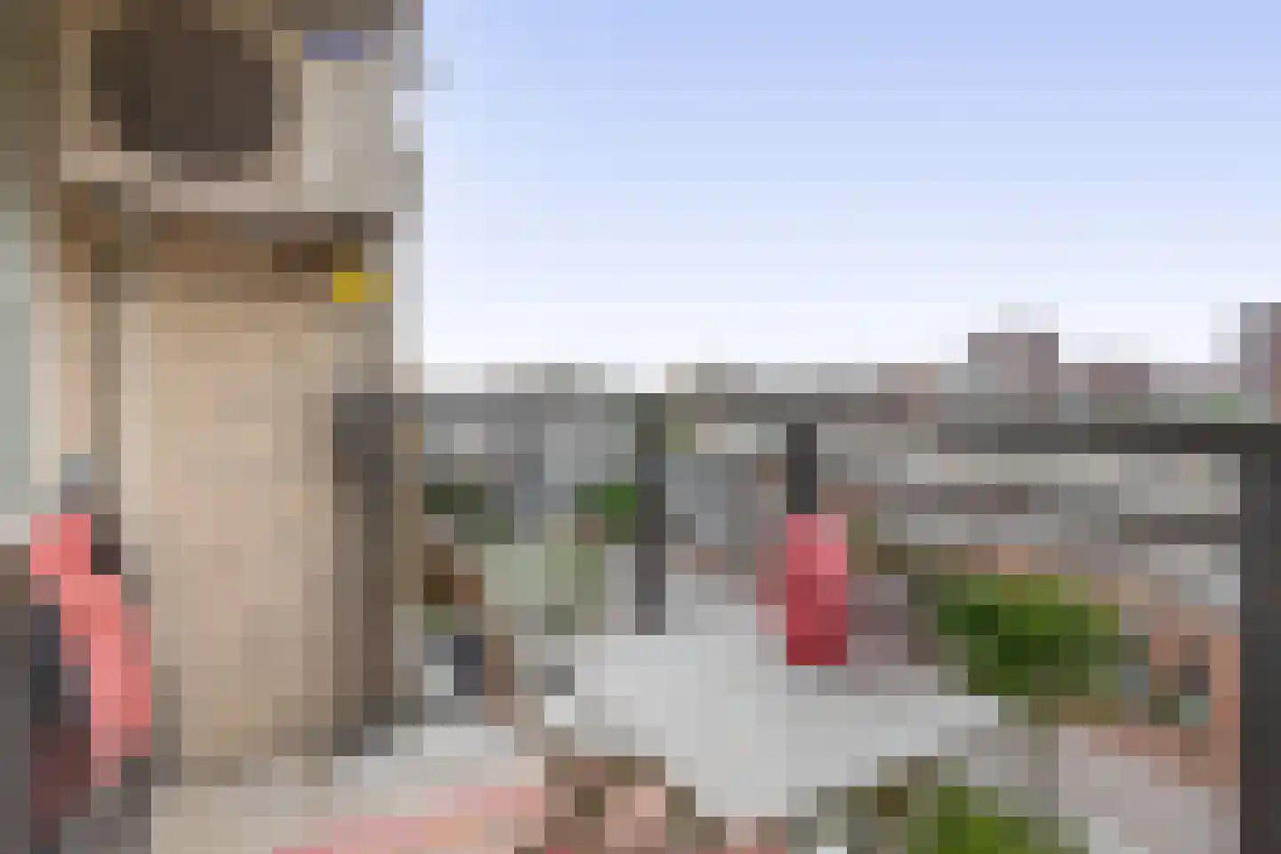 Fluiterlaan 530 Capelle aan den IJssel thumbnail 33