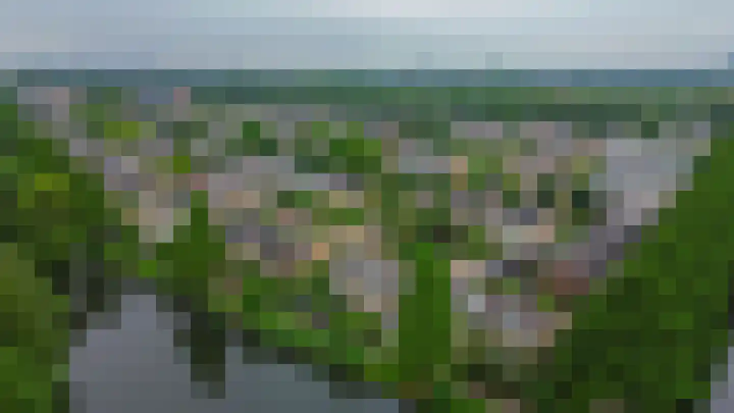 Fluiterlaan 530 Capelle aan den IJssel thumbnail 58