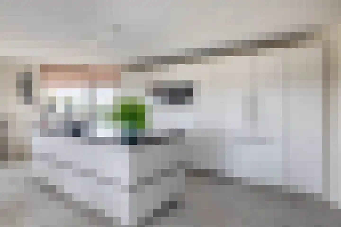 Fluiterlaan 538 Capelle aan den IJssel thumbnail 11