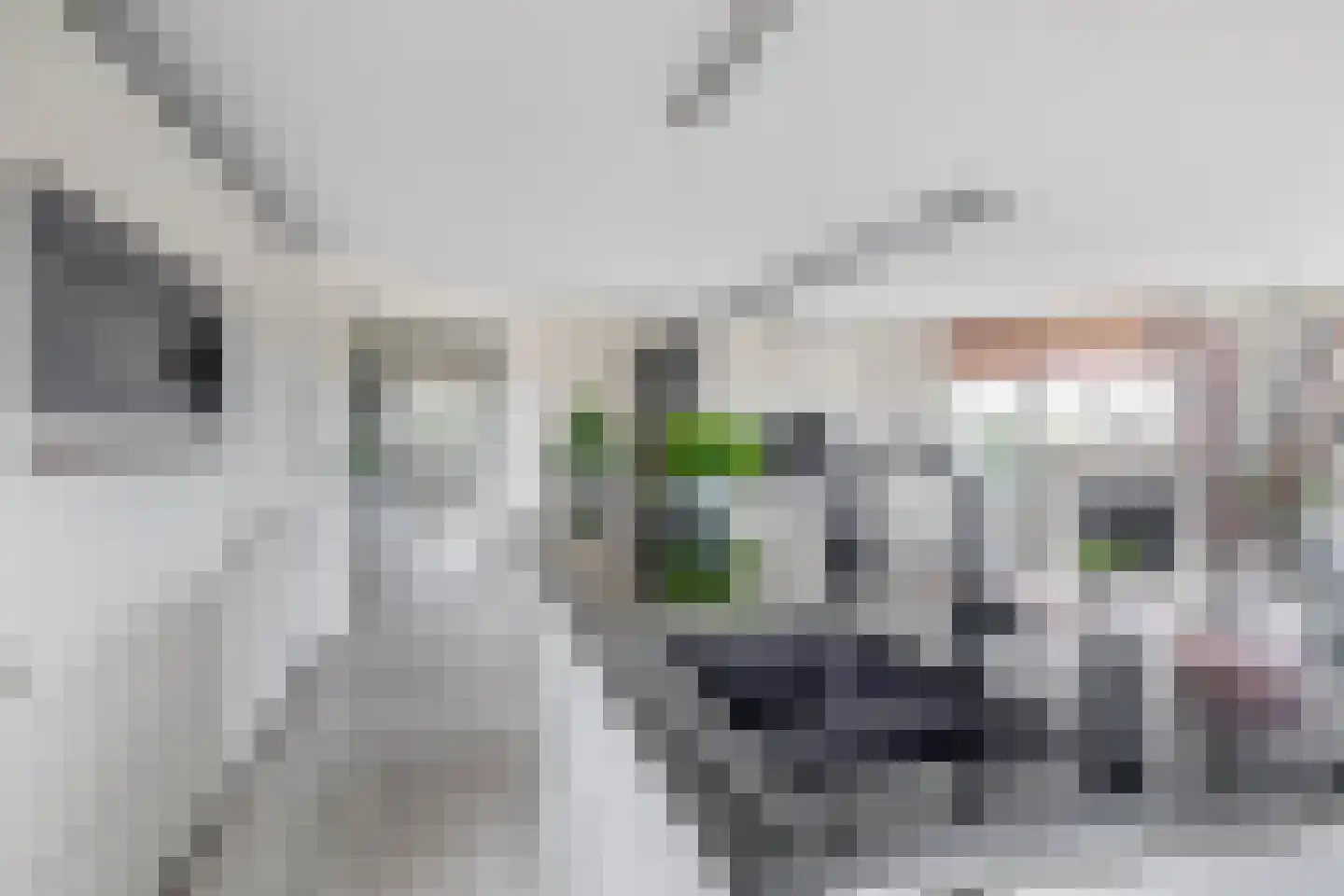 Fluiterlaan 538 Capelle aan den IJssel thumbnail 12