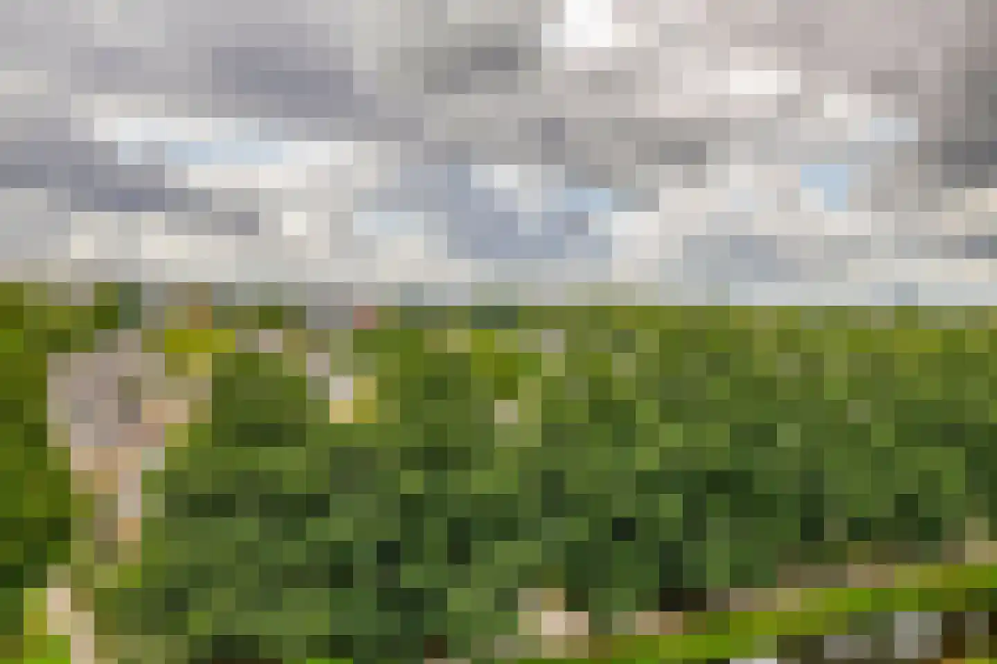 Fluiterlaan 538 Capelle aan den IJssel thumbnail 15