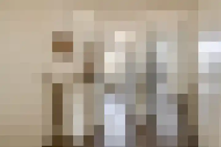 Fluiterlaan 542 Capelle aan den IJssel thumbnail 11