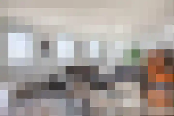 Fluiterlaan 542 Capelle aan den IJssel thumbnail 14