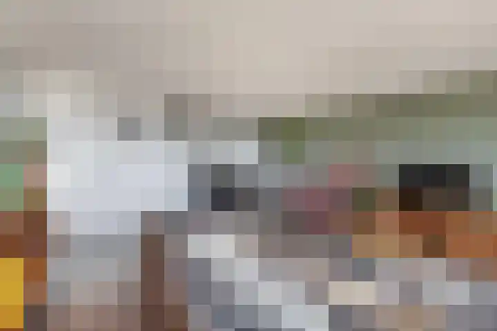 Fluiterlaan 542 Capelle aan den IJssel thumbnail 16