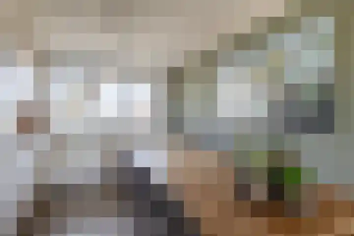 Fluiterlaan 542 Capelle aan den IJssel thumbnail 17