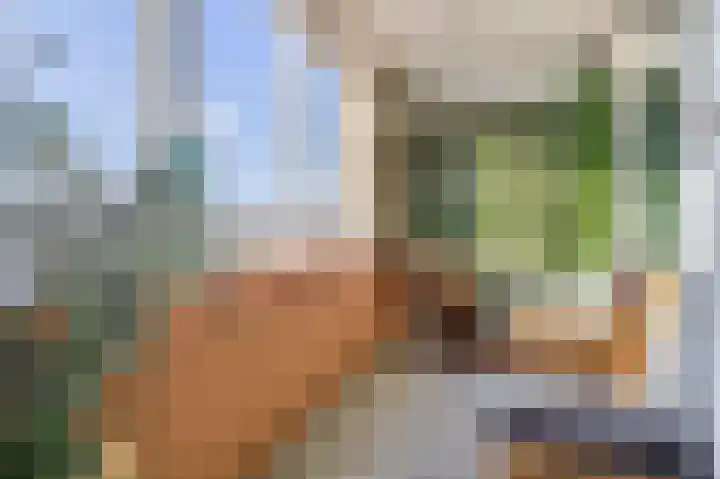 Fluiterlaan 542 Capelle aan den IJssel thumbnail 20