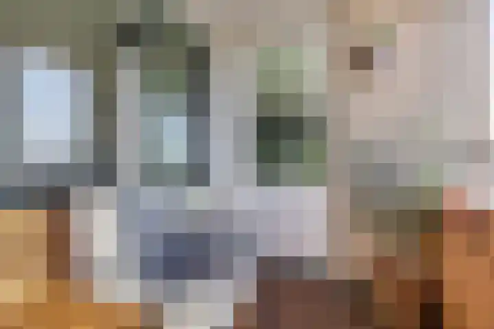 Fluiterlaan 542 Capelle aan den IJssel thumbnail 21