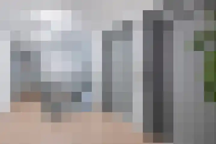 Fluiterlaan 542 Capelle aan den IJssel thumbnail 8