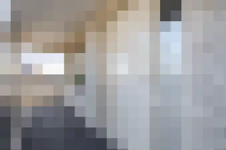 Fluiterlaan 542 Capelle aan den IJssel thumbnail 9