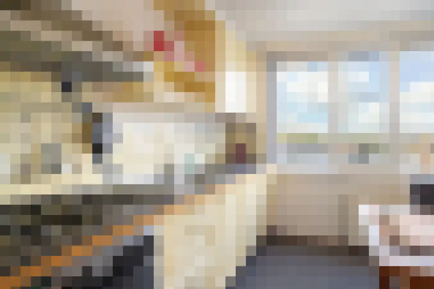 Fluiterlaan 554 Capelle aan den IJssel thumbnail 22