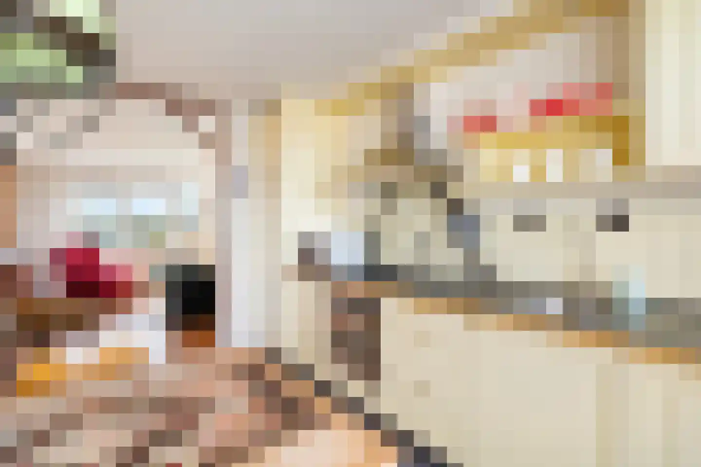 Fluiterlaan 554 Capelle aan den IJssel thumbnail 24