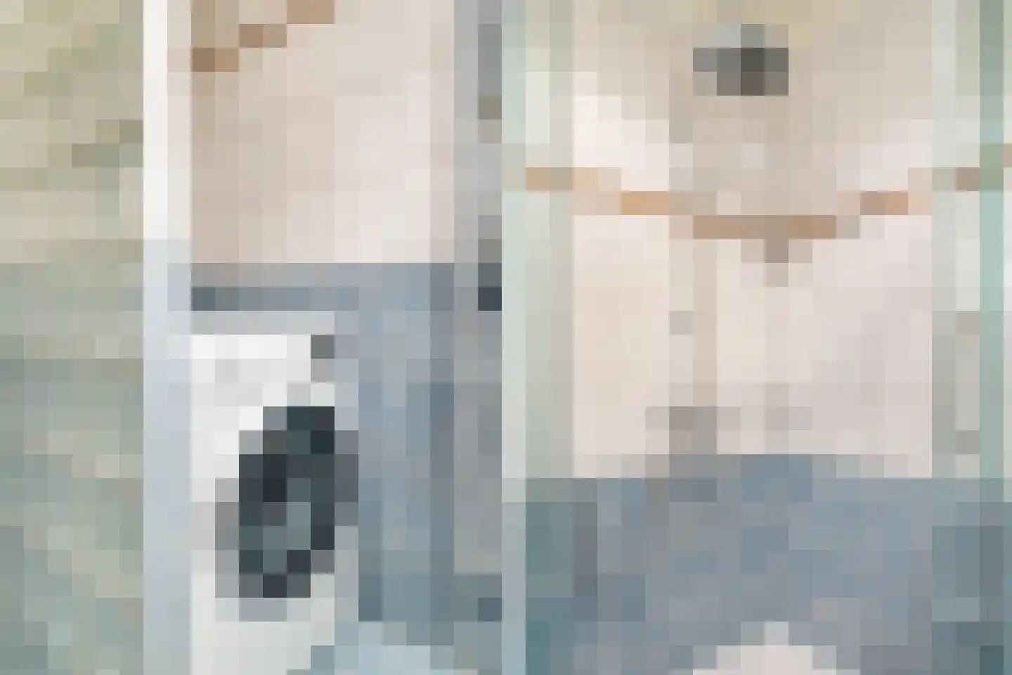 Fluiterlaan 554 Capelle aan den IJssel thumbnail 35