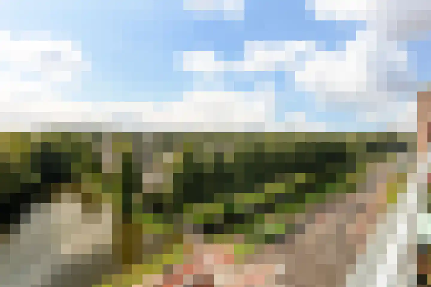 Fluiterlaan 554 Capelle aan den IJssel thumbnail 39