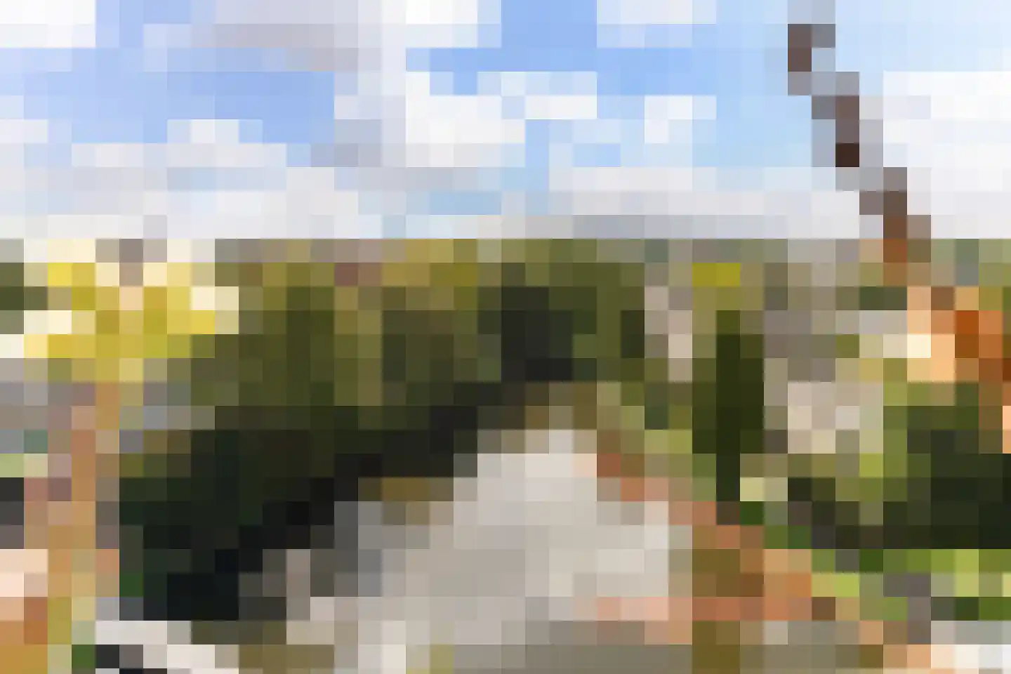 Fluiterlaan 554 Capelle aan den IJssel thumbnail 40