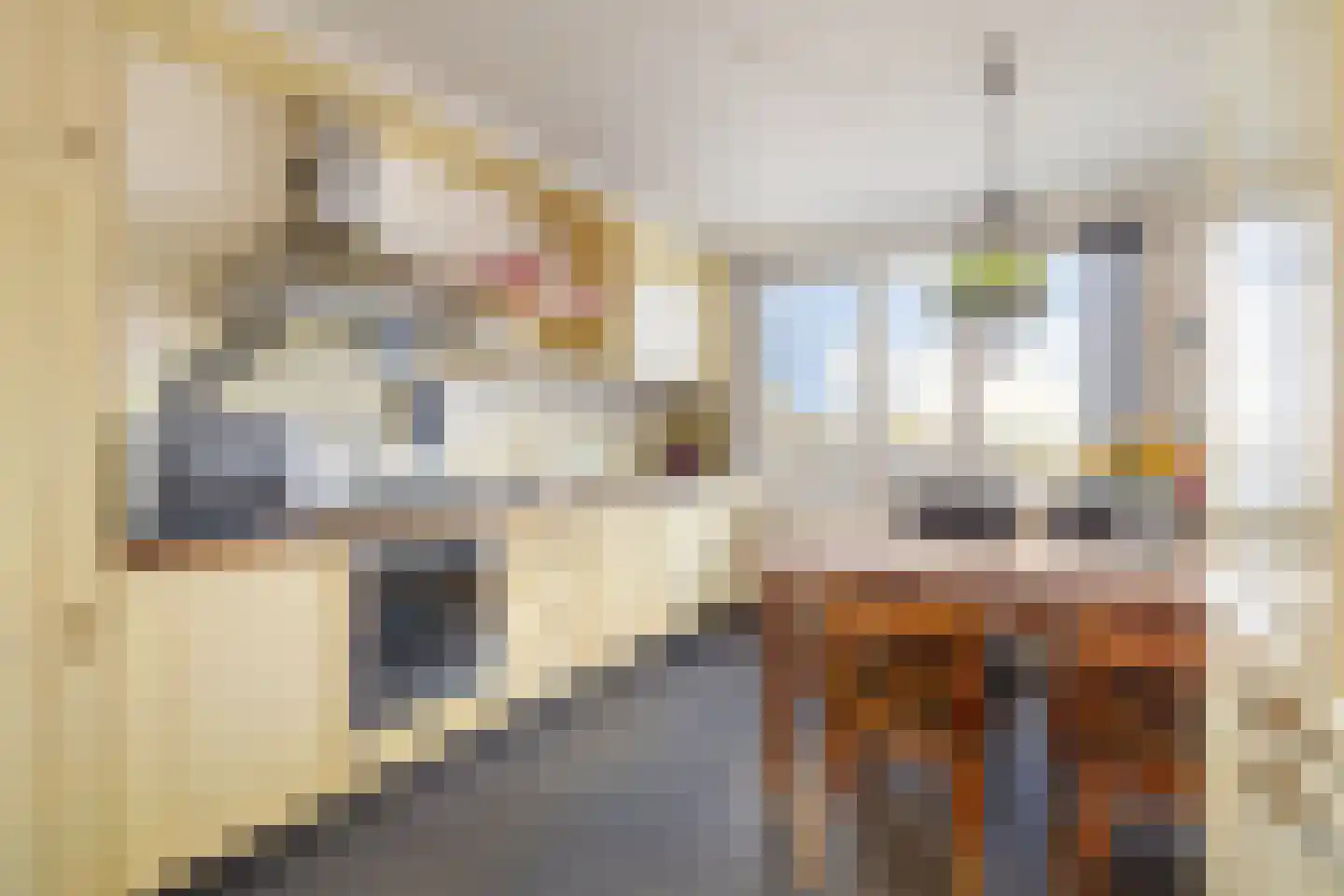 Fluiterlaan 554 Capelle aan den IJssel thumbnail 5