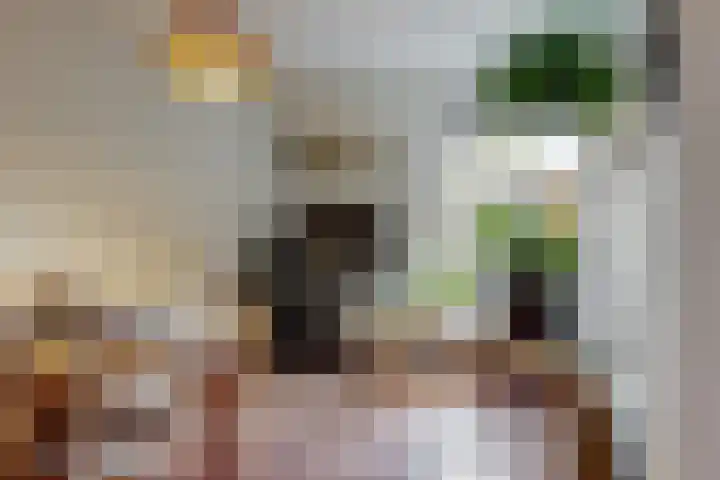 Fluitersdreef 10 Renkum thumbnail 14
