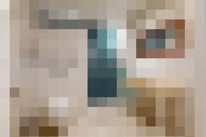 Fluitersdreef 10 Renkum thumbnail 15