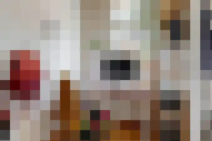 Fluitersdreef 10 Renkum thumbnail 20