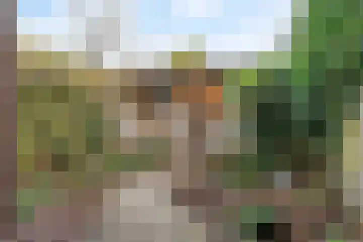Fluitersdreef 10 Renkum thumbnail 21