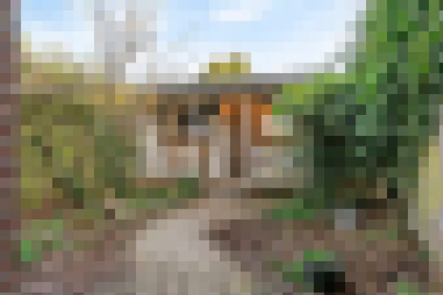 Fluitersdreef 10 Renkum thumbnail 21
