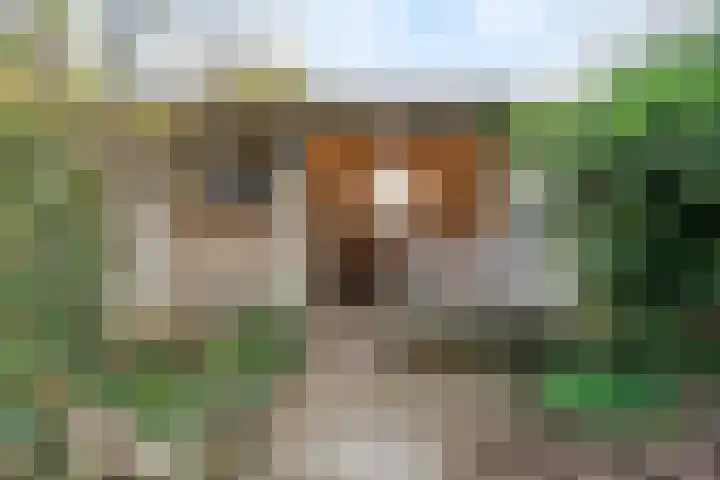 Fluitersdreef 10 Renkum thumbnail 22