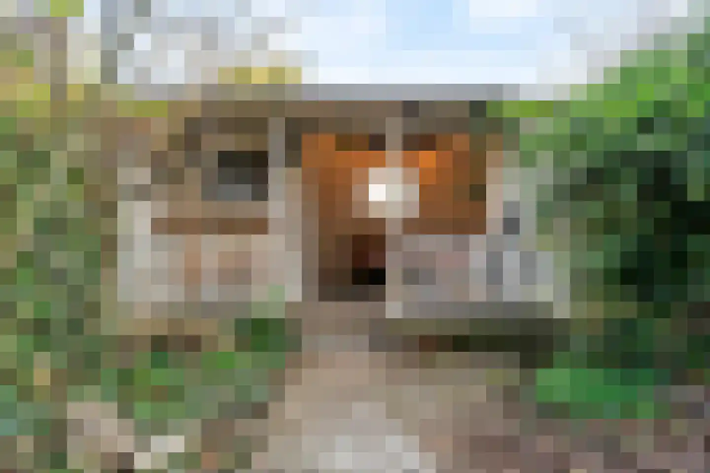 Fluitersdreef 10 Renkum thumbnail 22