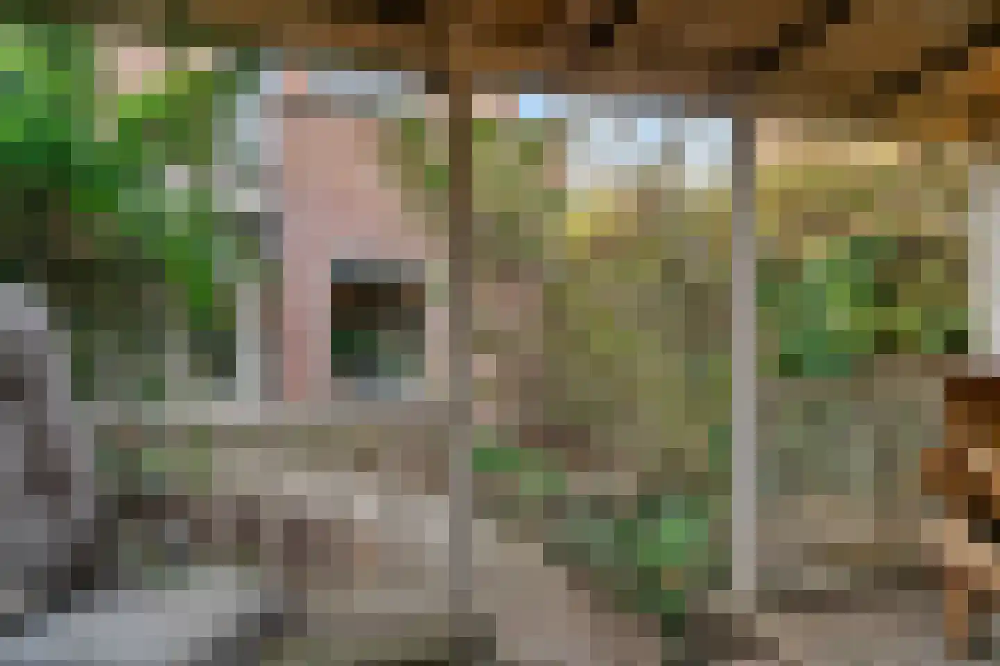 Fluitersdreef 10 Renkum thumbnail 24